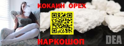 стаф Можга