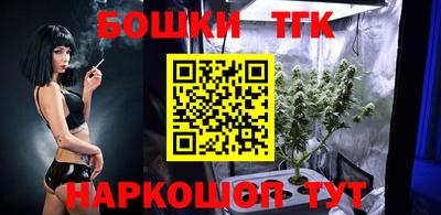 гашик Можайск
