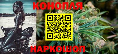стаф Можга