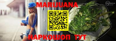стаф Можга