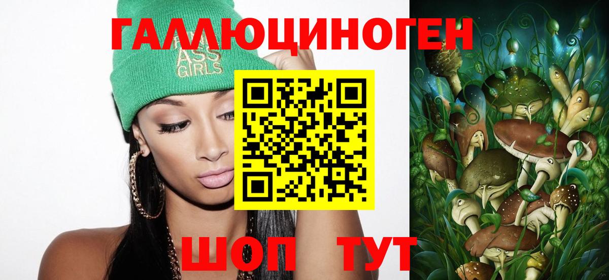 Туймазы  что такое   Псилоцибиновые грибы мицелий  Вход с VPN  Галлюциногенные грибы Psilocybine cubensis 
